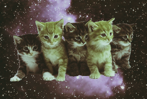 Котята кошки поют. Котенок в космосе. Котенок поет. Котята поют в космосе. Двигающиеся котики.