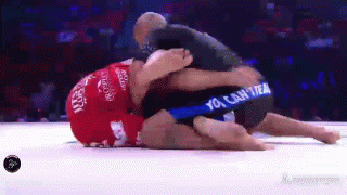 Bjj GIF - Find on GIFER