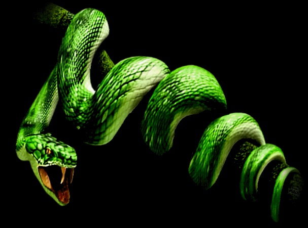 GIF snake - animated GIF on GIFER