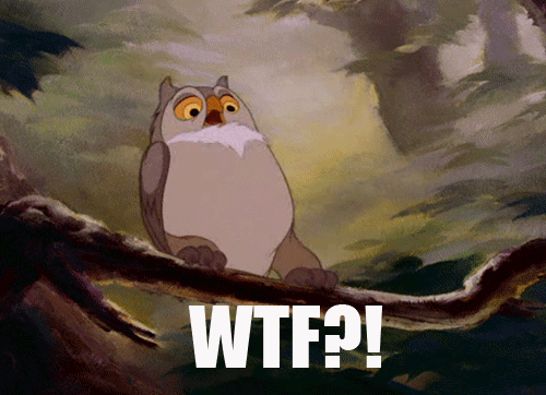 Reaction images s reactions GIF - Find on GIFER