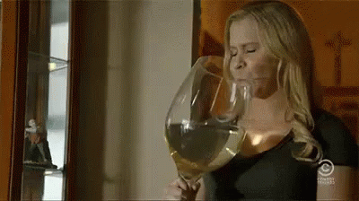 Amy vinho schumer GIF - Encontrar em GIFER