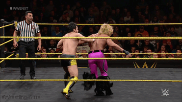 Resultado de imagen para gif tyler breeze beauty