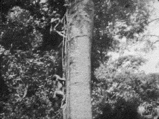 Werner Herzog Gif Find On Gifer