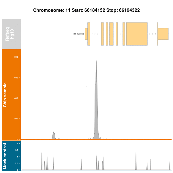 Chip GIF Find on GIFER