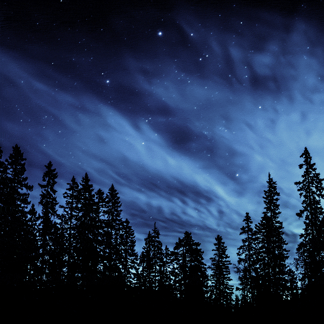 Beautiful prince 🎶 🌹 🎶 family ASTRO. 2025, image size:1080x1080