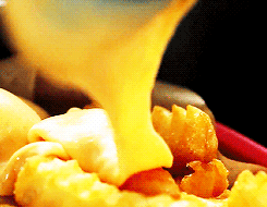 Cheese fries GIFs - Get the best gif on GIFER