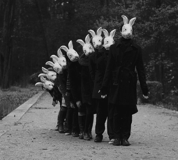 Terrifying Rabbit Gif Horror weird spooky GIF - Find on GIFER