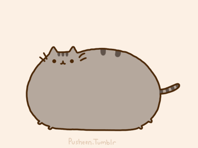 fat cat scratching gif