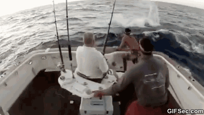 Fishing fail GIF - Find on GIFER
