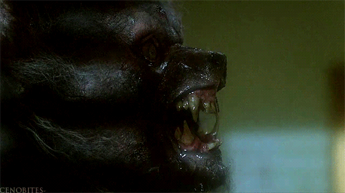 GIF the howling movie horror - animated GIF on GIFER