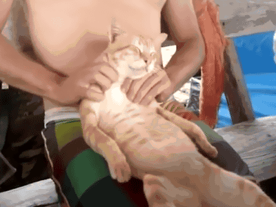 Pussy massage in Algiers