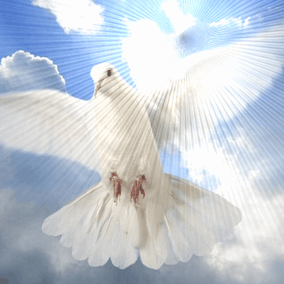 Holy spirit GIFs - Get the best gif on GIFER
