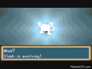 evolution gif find on