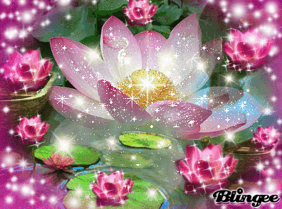 Lotus GIF - Find on GIFER