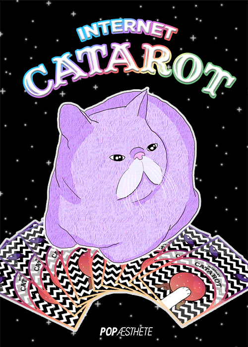 Cat Tarot Gatinhos Katzen Gif Find On Gifer