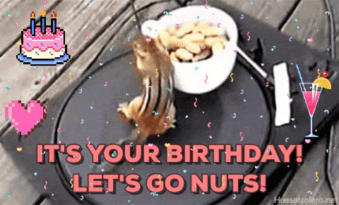 Chuber Birthday Wishes Lets Go Nuts Gif On Gifer By Ironcliff