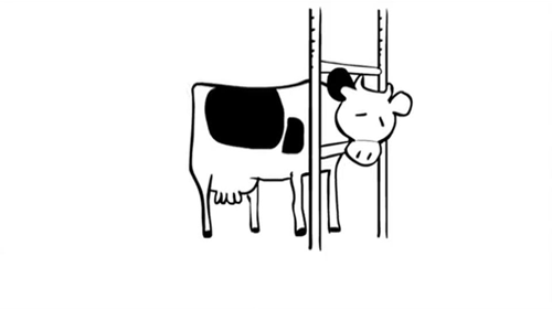 Animal rights GIF - Find on GIFER