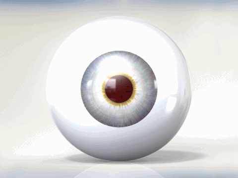 Eyeball GIF - Find on GIFER