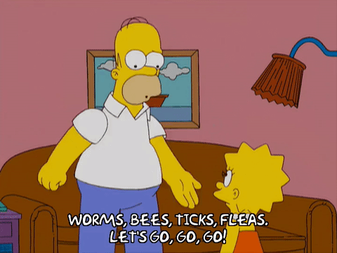 Homer Simpson Lisa Simpson Episode 8 Gif Find On Gifer