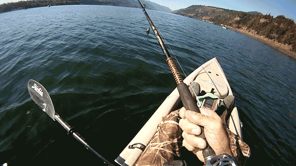 Фото на рыбалке от первого лица