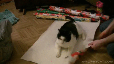 Mira Zeit Nachrichten Gif Find On Gifer