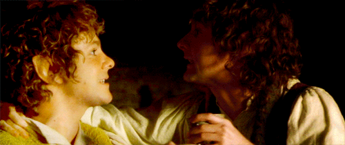 The lord of the rings GIF - Find on GIFER