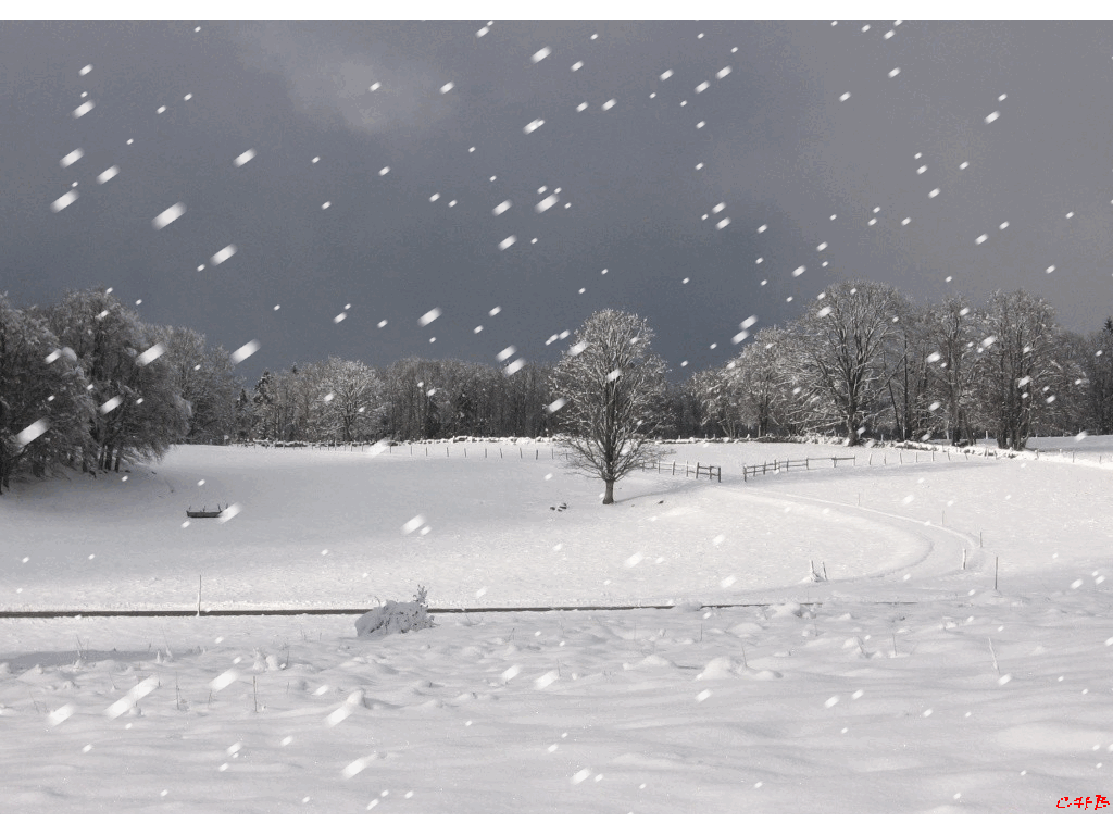 Белая заметает метель. Метель. Падающий снег. Снегопад это явление природы. Снег метель.