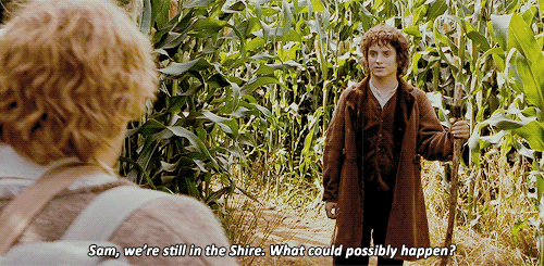 Fellowship of the ring GIF - Find on GIFER