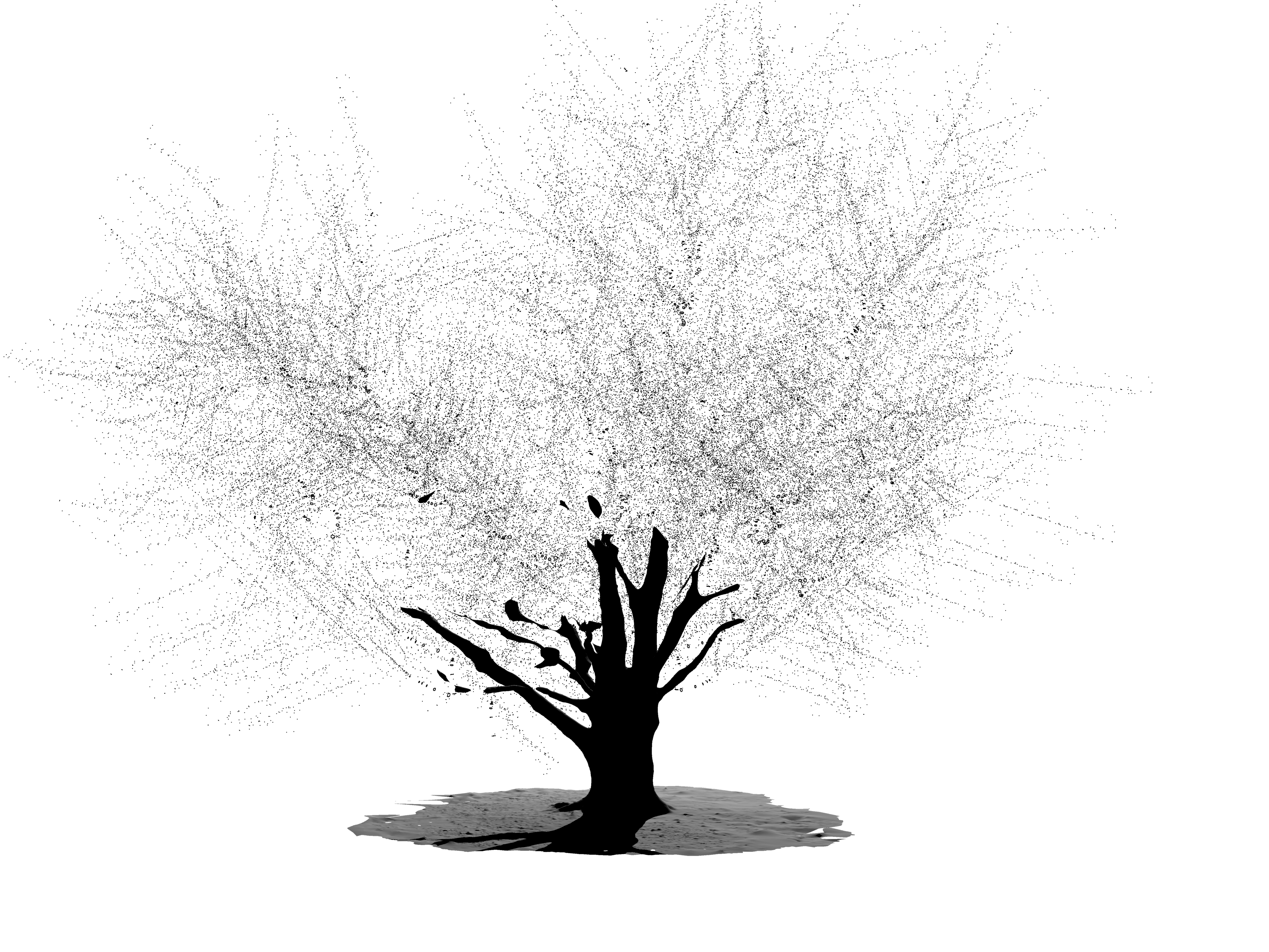 ������ ����� ��� ����