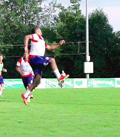 Arc arsenal football club i hate this place GIF - Encontrar en GIFER