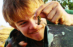 HfVE.gif