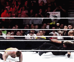 Wwe the shield roman reigns GIF - Find on GIFER