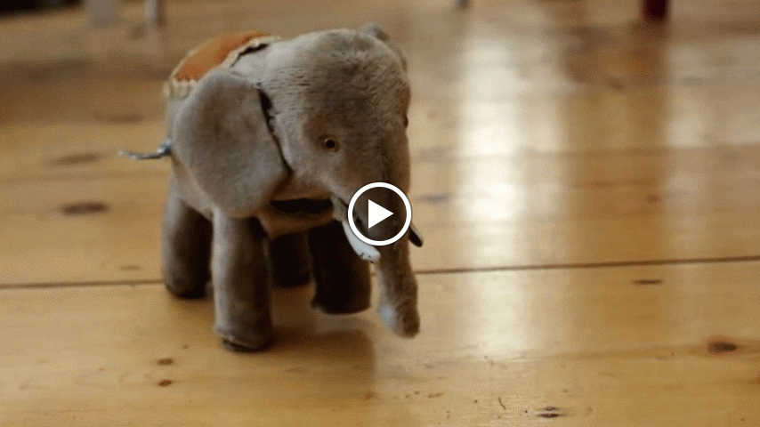 Включи сумасшедший слоник вытирает. Слоненок. Грустный Слоник. Маленький Слоненок. Слонёнок плачет.