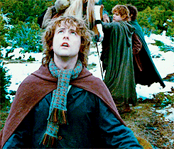 Fellowship of the ring GIF - Find on GIFER