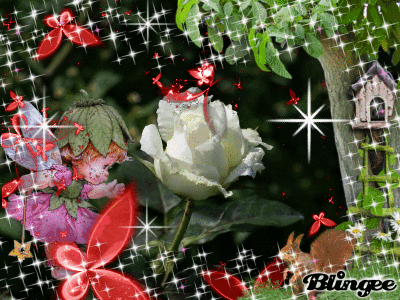 beutiful gif find on gifer