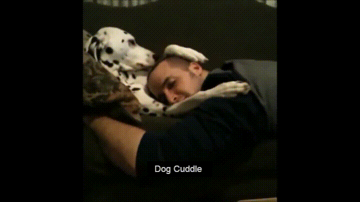 dog cuddle gif