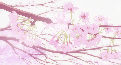 GIF cherry blossom anime tower  animated GIF on GIFER