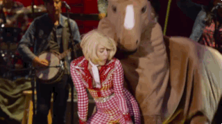 Animal sex GIF - Encontrar em GIFER