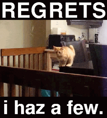 Image result for Regrets i have had a few gif