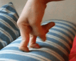 Mind quite immature GIF - Find on GIFER