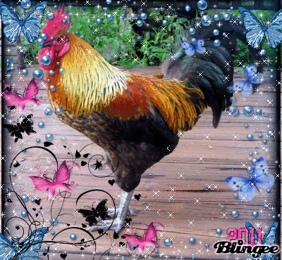 Анимационные картинки с петухом
