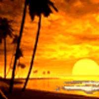 GIF tropical - animated GIF on GIFER