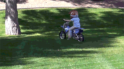 Funny Ridiculousness Falta Gif Find On Gifer