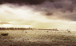 The lord of the rings return of the king GIF - Find on GIFER