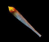 Joint GIF - Find on GIFER