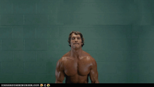 IP5a.gif