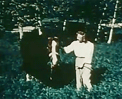 Clark Gable Carole Lombard Gif Find On Gifer