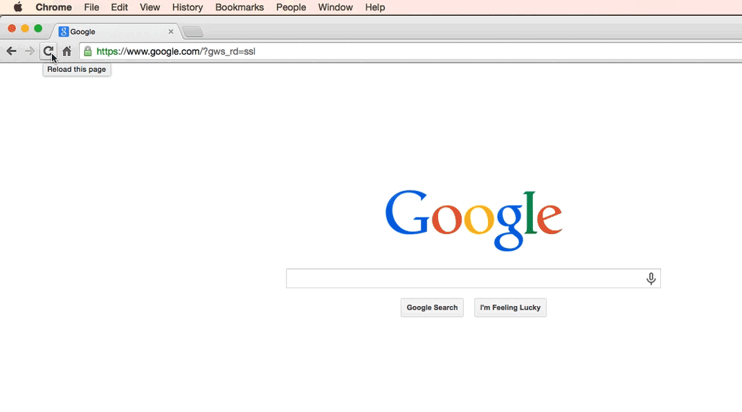 browser gif find on