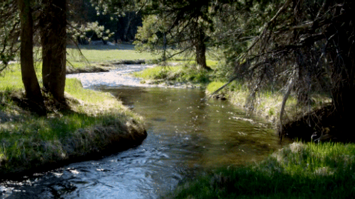 Creek running loop GIF - Find on GIFER