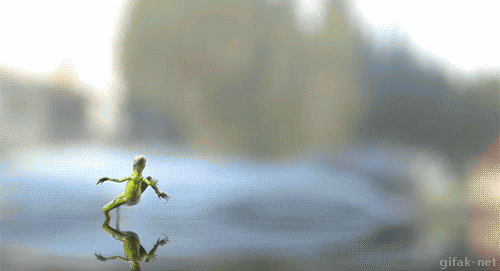 get out frog gif